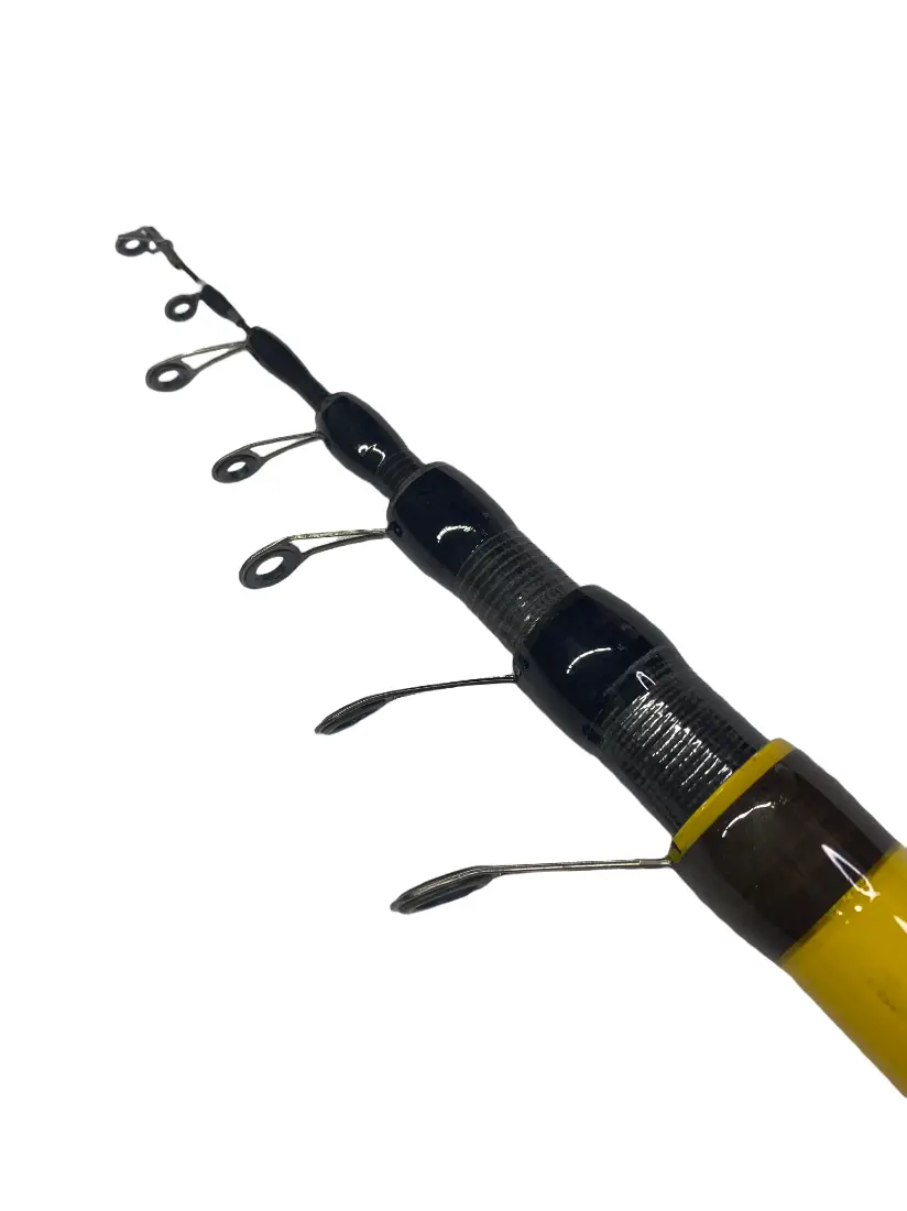 Вудка Feima NEPTUNE Bolognese 10-40g з кільцем 6m 4